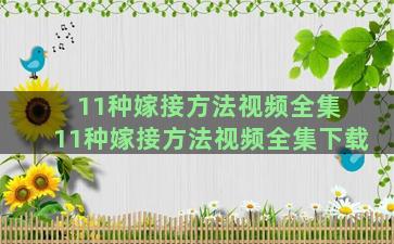 11种嫁接方法视频全集 11种嫁接方法视频全集下载